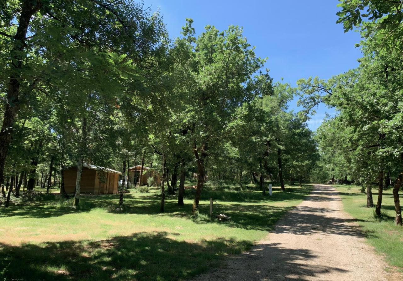 Lodges Du Bois Dodo - Ancien Camping De Bois Redon Septfonds Eksteriør billede
